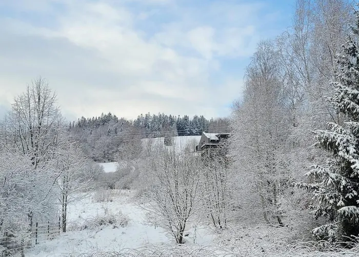 & Fun Spokojna ויסלאו
